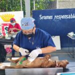 Esterilizan mascotas para reforzar la salud pública en Yucatán