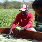 Caminos Renacimiento impulsa la movilidad productiva en Tizimín