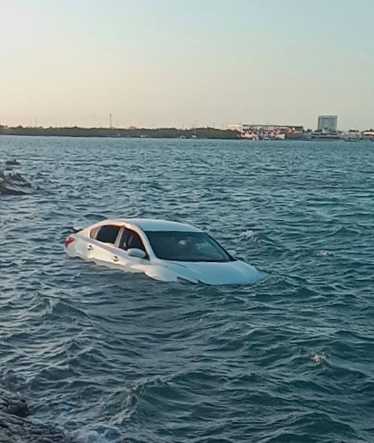 14189801-049a-49ce-b73b-87daeab49fed