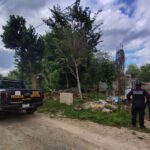 Indignación por violenta muerte de perrita maltratada