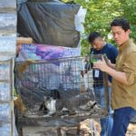 Reportes vecinales permiten el rescate de 40 ejemplares en Mérida