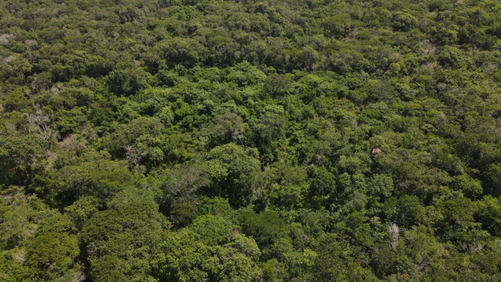 WhatsApp Image 2026-04-21 at 1.41.36 PM (1)