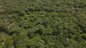 WhatsApp Image 2026-04-21 at 1.41.36 PM (1)