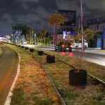 Propone Adrián Gorocica rediseño integral de vialidades para priorizar sombra al peatón
