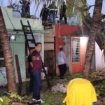 Atiende el regidor Adrián Gorocica contingencia por caída de árbol en Villas Jardín de Ciudad Caucel