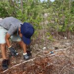 Mercado Circular y limpieza de playa promueven participación ciudadana en Celestún